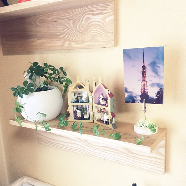 My Shelf,雑貨,ニトリ,観葉植物,壁掛けディスプレイに,壁掛けインテリア,壁掛けラック,壁掛け棚,観葉植物増やしたい saroの部屋