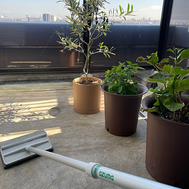 Entrance,アズマブラシ,マンションインテリア Mの部屋