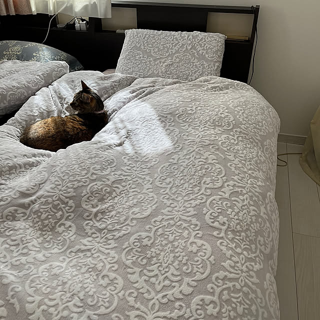 Bedroom,毛布にもなる掛け布団カバー,掛け布団カバー,ニトリデコホーム,ニトリ,ダマスク柄好き,買ってよかったもの,シャビーシック,南欧風,猫と暮らす家,保護ねこ,シャビーシック♥︎︎∗︎*ﾟ,シャビーシックに憧れる,ねこのいる日常,ねこ❤️,ダマスク柄 lovecats02の部屋