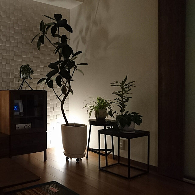 My Shelf,植木鉢,ポトス,フィカス・バーガンディ,エコカラット,観葉植物,観葉植物のある暮らし,シュガーバイン,フィカスバーガンディ,オリズルラン,ドラセナサンデリアーナ,LIFE FURNITURE,cacao,立野木工工芸,benca,LINK STYLE LED,100いいね！ありがとうございます♪ KID_Aの部屋