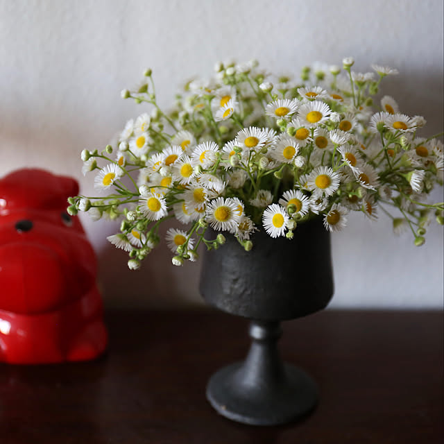 やちむん,ヒメジョオン,雑草のある暮らし,花のある暮らし,My Shelf akaneの部屋