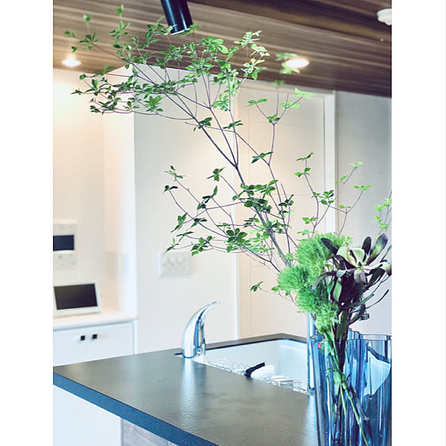 趣味,イベント参加,Kitchen,植物のある暮らし,ドウダンツツジ,リューカデンドロン,テマリ草,フラワーベース,花瓶,Iittala,イッタラフラワーベース,アルヴァ・アアルト,レイン,キッチンカウンター,中古マンション,リノベーション,おうち時間を楽しむ teracoyaWORLDの部屋