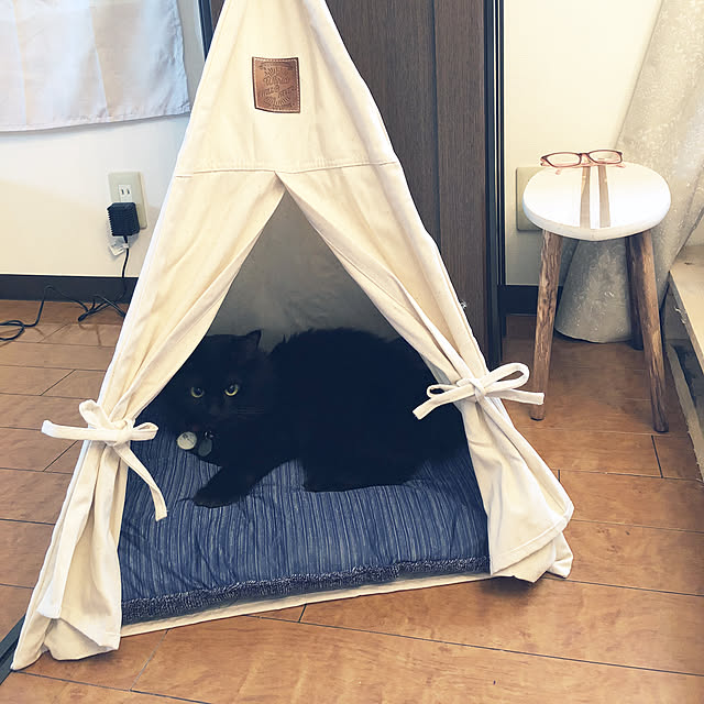 Bedroom,カインズホーム,保護猫,猫のいる暮らし,ナチュラル,salut! caramelの部屋