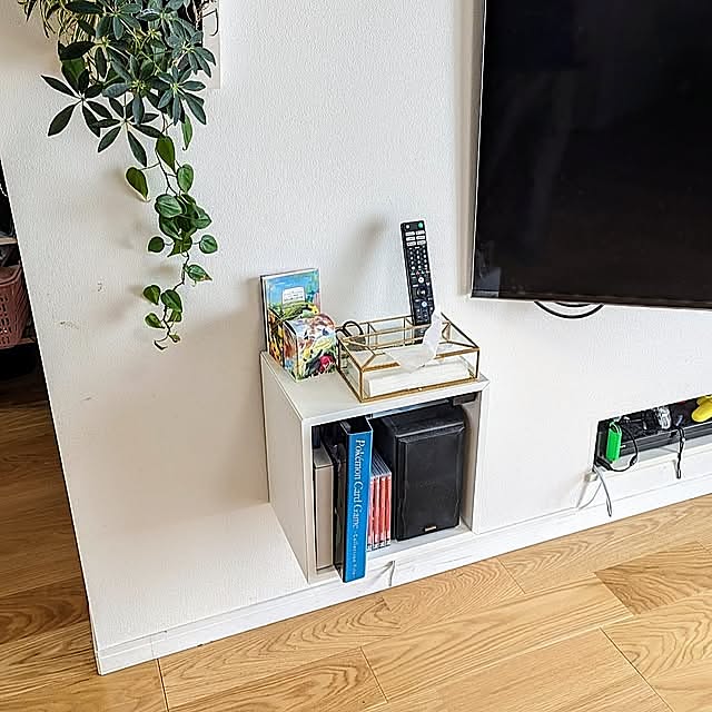 My Shelf,リモコンの置き場所,アジア工房,あじあ工房,イケア,IKEA,壁面収納,浮かせる収納,壁掛けテレビ,エーケト,ポケカ,ポケカ収納,生活雑貨,ティッシュケース,ミドリエ midorie,ミドリエ,壁掛けグリーン,リモコンラック,キャビネット,EKET,Switch,いいねありがとうございます,壁掛けフレームスクエア,間仕切り壁,スピーカー収納,テレビのリモコン tomatopapaの部屋