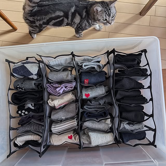 Bedroom,猫と暮らす,猫と暮らす家,Temu,TEMU購入品,下着靴下収納,下着靴下収納ボックス lovepeaceの部屋