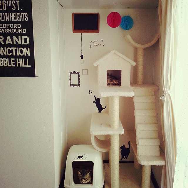 My Shelf,セリア,キャットタワー,ねこ部,ねこの部屋,ペットインテリア Sayakaの部屋