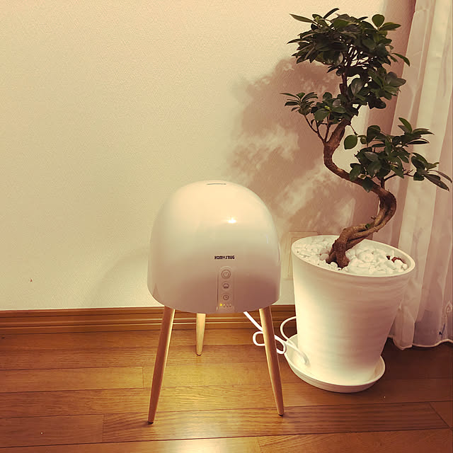 Lounge,加湿器,照明,観葉植物 franieの部屋