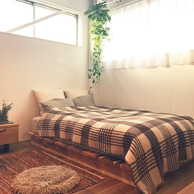 Bedroom,ニトリ,観葉植物,ポトス,ECOLA,ベッド,DIY,足場板,リノベーション,一人暮らし,リノベーション賃貸,緑のある暮らし,ハンギング,グリーン,シンプルナチュラル copanの部屋