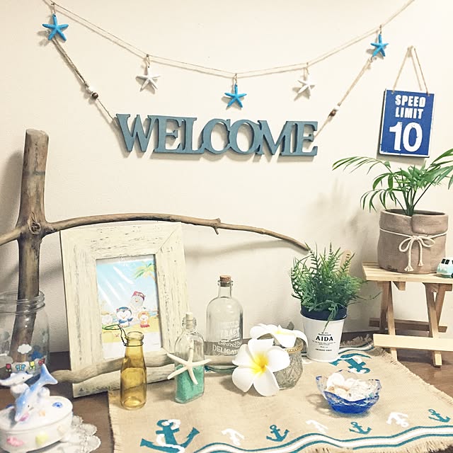 Entrance,玄関,シェル,夏,西海岸,100均,DIY,セリア,観葉植物,貝殻,海,流木リメイク,流木 kuu0404の部屋