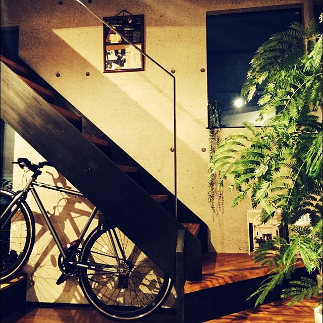 Overview,階段下,階段,自転車,観葉植物,無機質,コンクリート BIRDの部屋