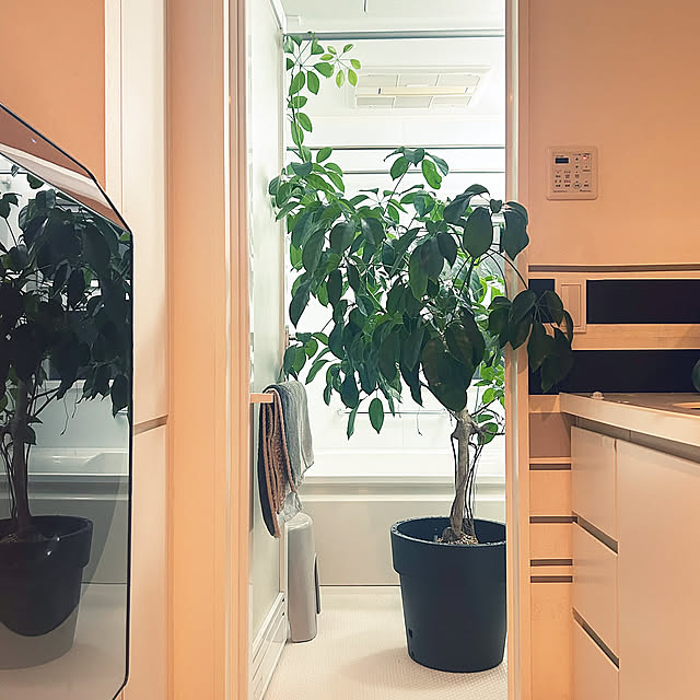 Bathroom,この秋、買ってよかったもの DAYONEの部屋