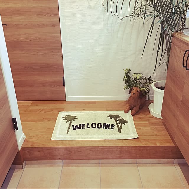 Entrance,玄関マットやっと購入♡,観葉植物,ペットと暮らす♡,おきにいり♡,ニトリ,玄関でお出迎え♡ chapepoの部屋