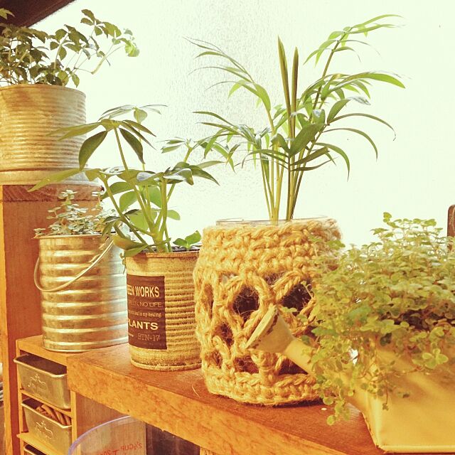 Kitchen,同じような写真でごめんなさい,手編みの鉢カバー,観葉植物,グリーンのある暮らし mi_moの部屋