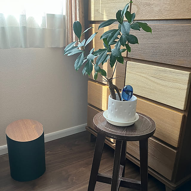 Bedroom,ミナペルホネンのゴミ箱,ダイソーの鉢,ガジュマルの木,アマブロツートン,ウォーターディスペンサー,ご褒美アイテム,輸入住宅,いいね&フォローありがとうございます☆,セルコホーム,北欧大好き,癒し katuの部屋
