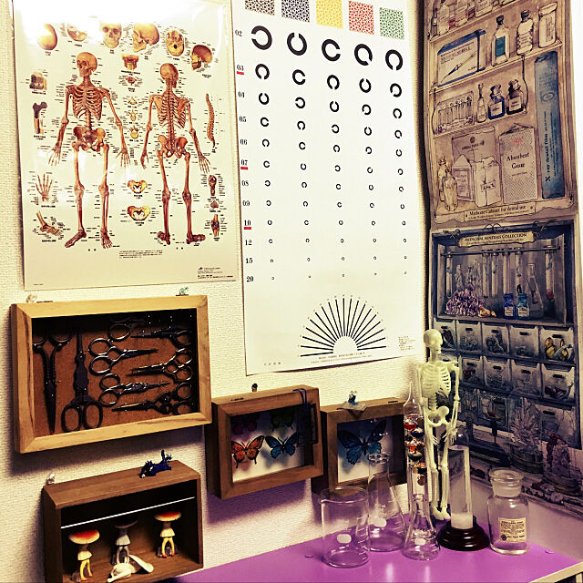 My Shelf,標本箱,テンポドロップ・ガラスストーム,理科室インテリア,セリア kengai69の部屋