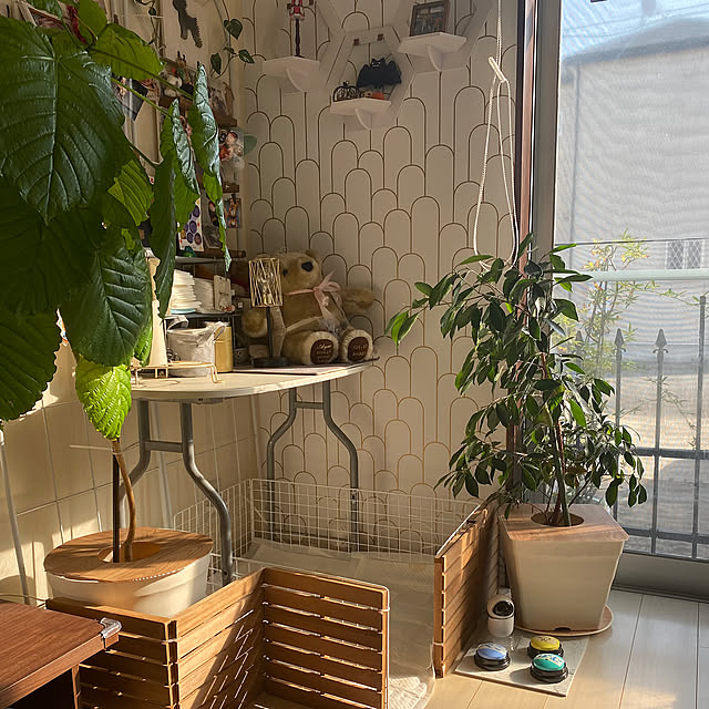 Lounge,100均,いたずら対策,プランツテーブル,10分でできる,RCの出会いに感謝♡,多頭飼い,いいね!押し逃げばかりでごめんなさい。,コメントお気遣いなく,お邪魔できずすみません,お家見直し,音声ボタン練習中 alchoの部屋