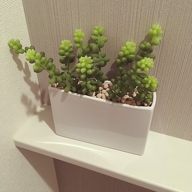 Bathroom,エコストーン,グリーンのある暮らし,ミニグリーン,消臭剤,多肉植物,植物,グリーンパーク,観葉植物,フェイクグリーン museの部屋