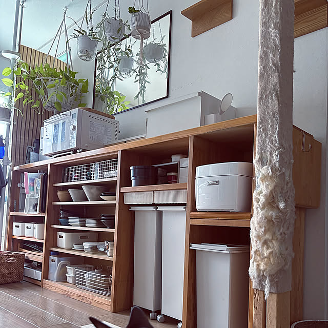 Kitchen,無印良品,キッチンのゴミ箱,観葉植物,狭小住宅,植物のある暮らし,猫と暮らす家,ペットと暮らす,ねこと暮らす,観葉植物のある暮らし,ねこのいる暮らし masamasaの部屋