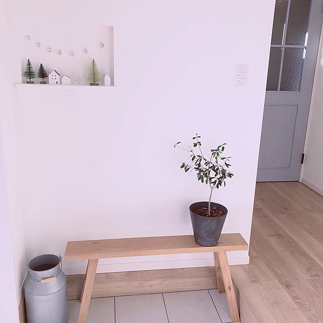 Entrance,オリーブの木,ダイソーおうちオブジェ,無印良品 ベンチ,LIXILドア,シンプル,クリスマス,IKEA,DAIKENの床,こどもと暮らす。,ベツレヘムの星,ミルク缶,2018.11月,ACTUS(アクタス),植物のある暮らし,LIXILファミリーラインパレット,ニッチ otamaの部屋