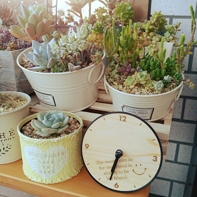 Bedroom,新商品,多肉植物,多肉植物　寄せ植え,NO GREEN NO LIFE,サンルーム,セリア♪,リメ缶♡,時計☆ mymの部屋