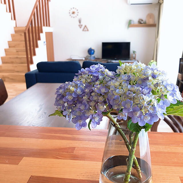 庭の花,季節を楽しむ,てまりてまり,カウンター,紫陽花,雨の日の楽しみ方,Lounge kossyの部屋
