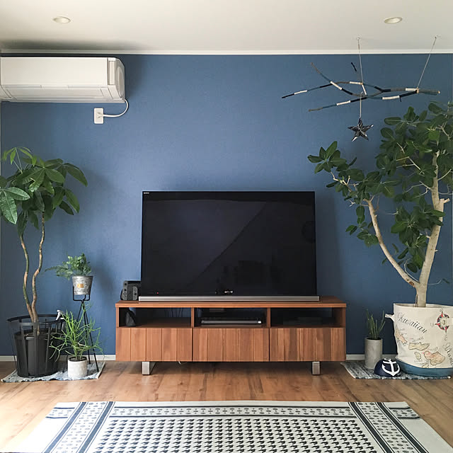 Lounge,ラグ,テレビボード,アクセントクロス,フィカスベンガレンシス,パキラ,観葉植物,植物,ゼロキューブ,インドアグリーン,鉢,グリーンのある暮らし,unico,zero_cube,ブルー hiro.rororoの部屋