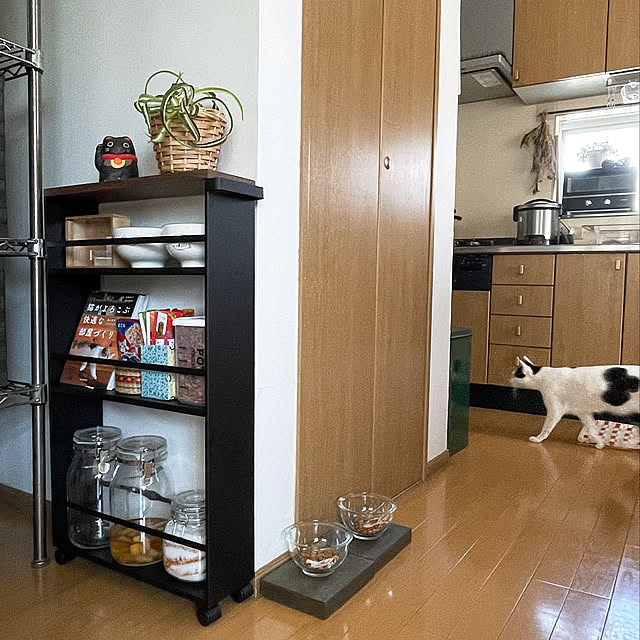 ネコ用品収納,幅13cm,タワーのハンドル付きスリムワゴン,ネコのごはん置き場,RoomClipショッピング,イベント参加,ネコ姉弟,ビー　弟　白黒,My Shelf nobikoの部屋