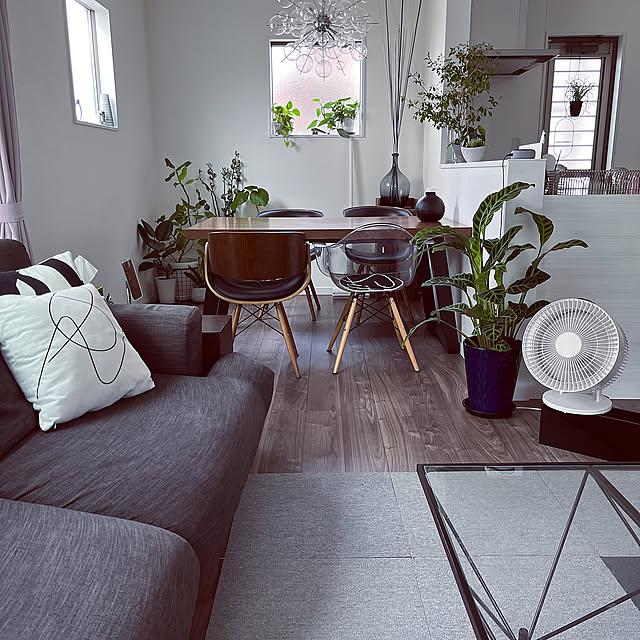 Lounge,ダイニング,団らんスペース,観葉植物,グリーン,ソファ,グレーインテリア,いつもありがとうございます☆*:.,NO GREEN NO LIFE,観葉植物のある暮らし,カラテア,サーキュレーター,無印良品 ameの部屋