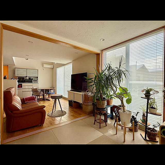 Lounge,ヒノキの建具,DAIKEN畳,DAIKENの畳,DAIKEN,灰桜色の琉球畳,灰桜色の畳,灰桜色,畳ルーム,ニチベイ もなみ,ニチベイ もなみ,ニチベイプリーツスクリーン,ニチベイ,プリーツスクリーン ニチベイ,プリーツスクリーン ツインスタイル,プリーツスクリーン 和室,プリーツスクリーン もなみ,プリーツスクリーン,窓辺のインテリア tamabaka1971の部屋