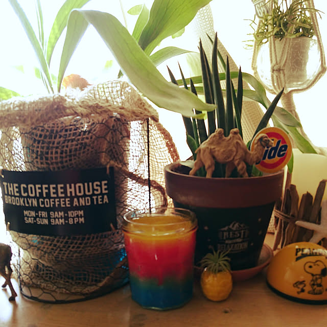 My Shelf,保冷剤,消臭剤,自由研究,ごちゃごちゃ,観葉植物,こうもりらん,ぷらばん,雑貨 2menmamaの部屋