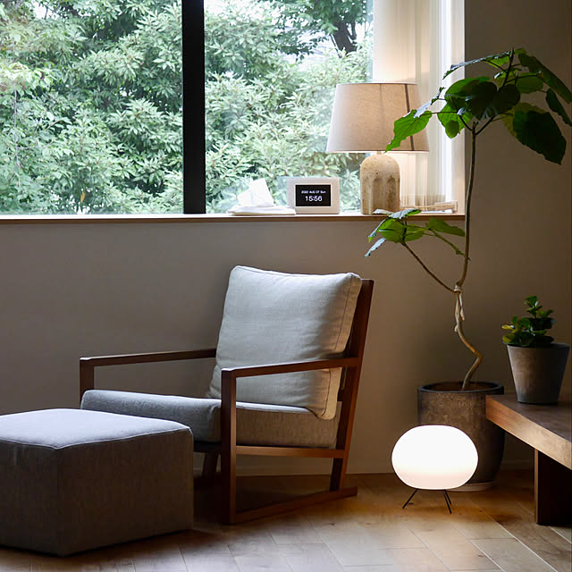ZARA HOME,椅子,心地よい暮らし,チェア,テラスのある暮らし,夏,シンボルツリー,くつろぎ空間,観葉植物,グリーン,間接照明,Lounge Norikaの部屋