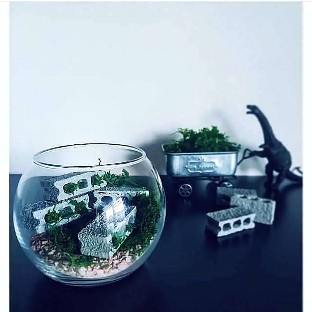 My Desk,10分でできる,ダイソー,ドライモス,苔テラリウムもどき waniwaniの部屋