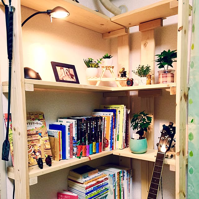 My Shelf,ダイソー,ハンドメイド,DIY,マガジンラック,観葉植物,多肉植物,かわいい,100均,本棚,フェイクグリーン,アンティーク,ナチュラル,雑貨,セリア Takahiroの部屋