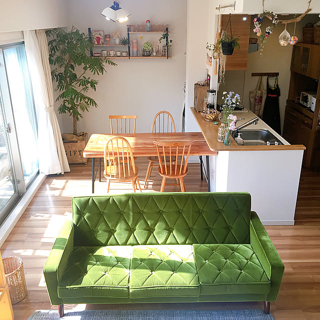 大きな窓,カリモク60,カリモクソファー,観葉植物,広く見せる,エバーフレッシュ,ディスプレイ棚,アイアン棚,GREEN LIFE,植物のある暮らし,クエーカーチェア,ダイニングテーブル,グリーンインテリアのある暮らし,フラワーベース,アーコールチェア,花のある暮らし,Overview KIRINの部屋