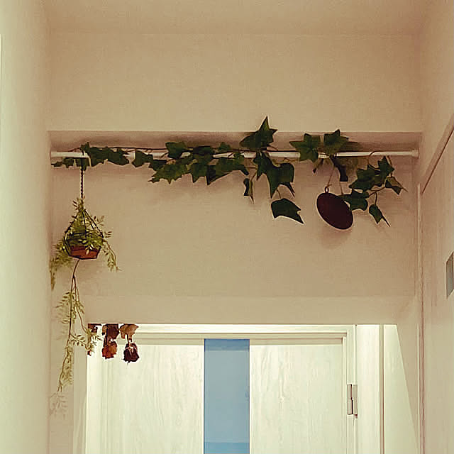 Entrance,ウェルカムプレート,ウェルカムボード,ドライフラワー,フェイクグリーン,玄関ディスプレイ,玄関,つっぱり棒,ナチュラル,グリーン,ディスプレイ,癒し,マンション,リノベーション,ディスプレイコーナー,S字フック,ガーデン雑貨,3枚投稿です♡ madamkaoriの部屋