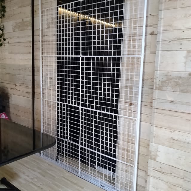 Lounge,10分でできる,猫のいる暮らし,コメントを、中々返せずすみません。,コメント嬉しいです♡ありがとう♡,団地,いつもいいねやコメありがとうございます♡,団地住まい,マンチカンみゆうくん,セリア♡,ワイヤーネットDIY,突っ張り棒活用,使い回して便利ネット,使わなくなったらバラして収納,結束バンドで付けただけ,猫進入禁止,猫進入防止ネット runaの部屋