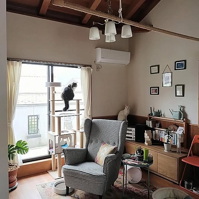 On Walls,観葉植物,DIY,ねこのいる風景,猫のいる生活,猫のいる日常,猫との暮らし,子どもの作品もインテリア,子どもの作品は壁に aya_meの部屋