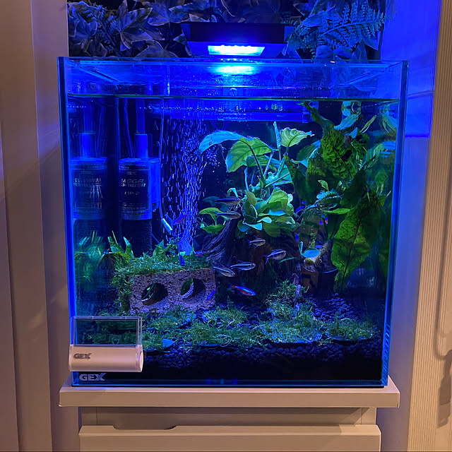 水槽照明,水槽,熱帯魚,アクアリウム,モダン,Lounge langonの部屋