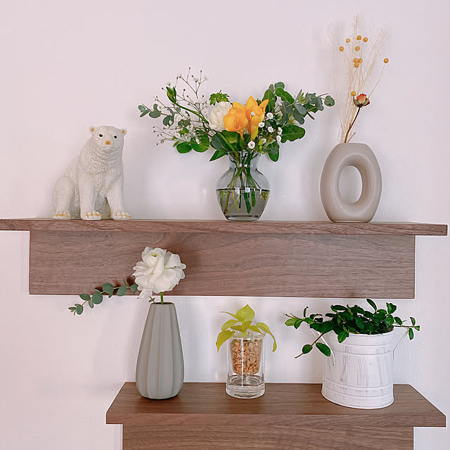 フリージア,RoomClipショッピング,おうち見直しキャンペーン,シロクマオブジェ　ゴールド,観葉植物,3COINS,植物のある暮らし,ディスプレイ棚,ニトリ,ラナンキュラス,ウォールシェルフ,ドライフラワー,フィカスシャングリラ,切り花,フラワーベース,On Walls,100均 reo..m.aの部屋