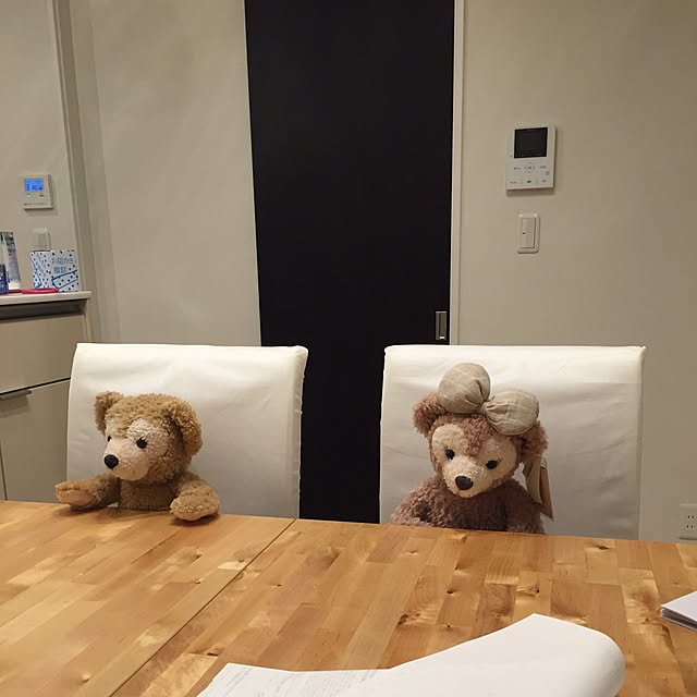 Lounge,IKEAのダイニングテーブル,家のテーマが迷子,猫部,新婚,注文住宅,ねこと暮らす。,住友不動産,庭小さめ,夢いっぱいハウス flowerpot-yuの部屋