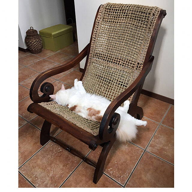 リメイク,猫,猫との暮らし,ちー君,椅子,On Walls shigimiの部屋