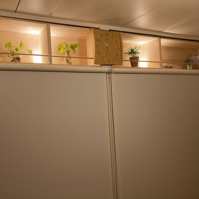 間接照明,空間利用,スペースの有効活用,観葉植物,IKEA,天袋DIY,My Shelf,団地でも諦めない！,生活感を隠したい,手作りのある暮らし,団地 DIY,団地インテリア,シンプルにすっきりと暮らす,いいね！ありがとうございます◡̈♥︎,いいね、お返しができなくてごめんなさい。,更新頑張ります♡,築50年の団地再生ライフ,2K2人暮らし sattunの部屋