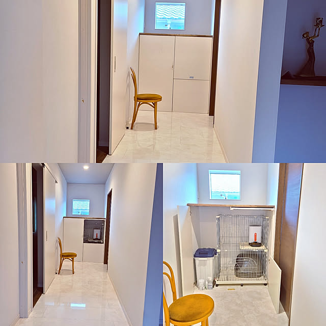 ペットと暮らすインテリア zenoの部屋