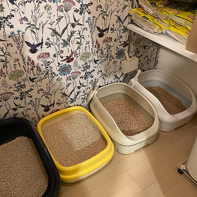 納戸の中,猫ちゃん想い,ニャンとも,ねこと暮らす。,ねこのいる日常,猫トイレ,Lounge mikomaruの部屋