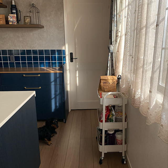 パントリー,キッチンワゴン,キッチン収納,後悔ポイント,夏のスペシャルクーポン,RoomClipショッピング,Kitchen noel.eの部屋