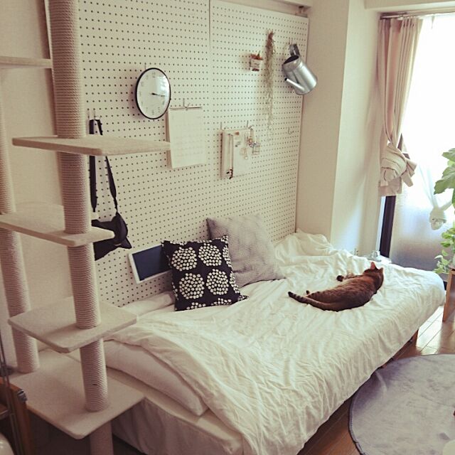 Bedroom,一人暮らし,賃貸,1K,有孔ボード,ねこと暮らす。 komugiの部屋