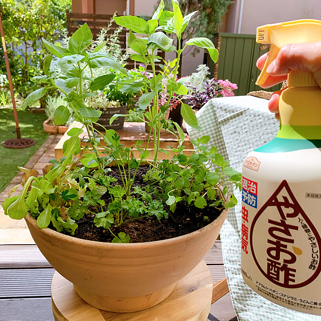 ハーブ,アースガーデン,害虫対策,ガーデニング,おうち時間,植物のある暮らし,アース製薬,モニター当選ありがとうございます,やさお酢,グリーン,Entrance chisaの部屋