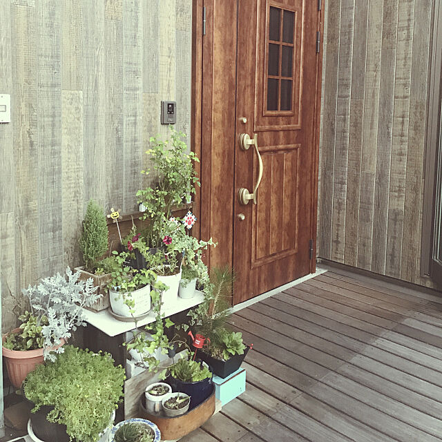 Entrance,リクシルの玄関ドア,グリーンのある暮らし,外壁,ケイミューの外壁材,ケイミュー,ガーデニング yukichi.wanwaの部屋