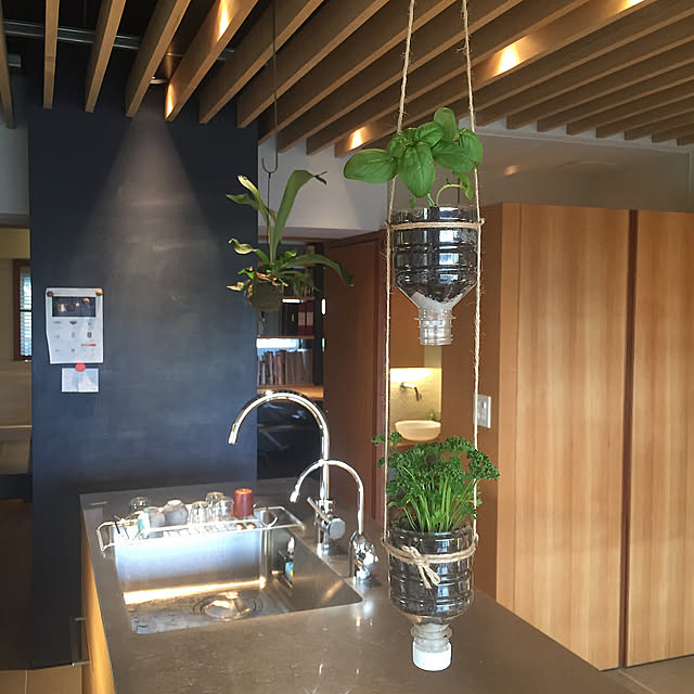 DIY女子,DIY,ハーブ大好き,ハーブ,ハーブのある暮らし,リノベーション,オーダーキッチン,Kitchen,グリーンインテリア,グリーン,グリーンのある暮らし,ハンギングプランツ,ハンギンググリーン room___317の部屋