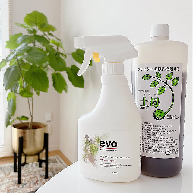 虫除け対策,活性剤,観葉植物のある暮らし,1K,ひとり暮らし,シンプルライフ,ミニマリスト,Overview Riraの部屋